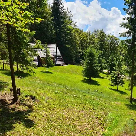 Holiday home Vrleti Tare *