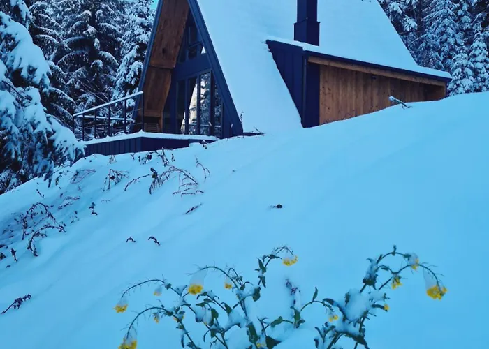 Vrleti Tare Bajina Basta